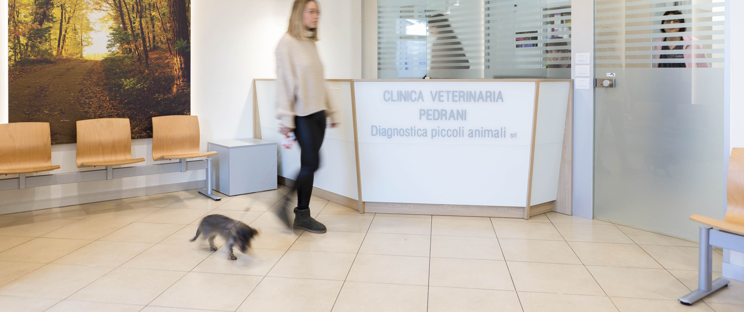 clinica veterinaria athesis verona orari