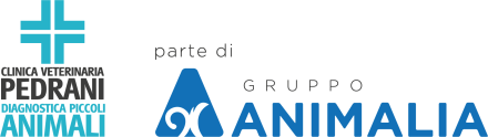 Parte di Gruppo Animalia